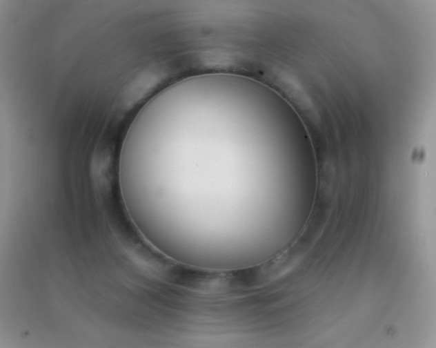 X0000091300116200708172216