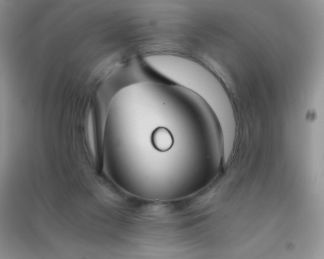 X0000091300117200708172216