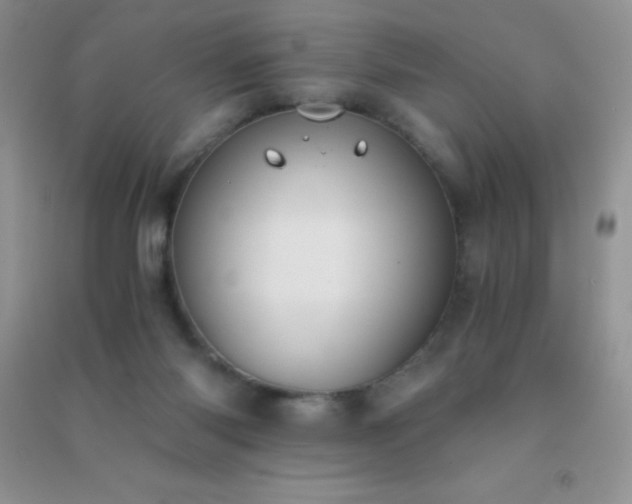 X0000091300118200708172216