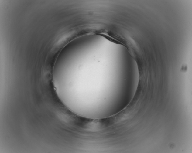 X0000091300119200708172216