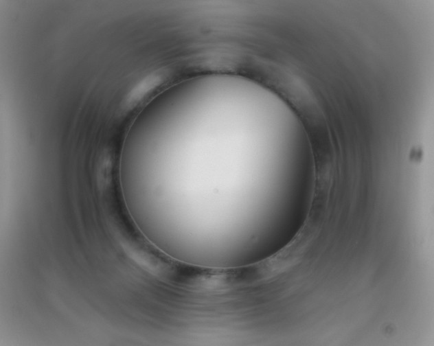 X0000091300120200708172216