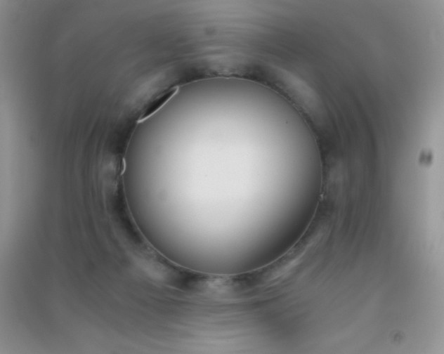 X0000091300121200708172216