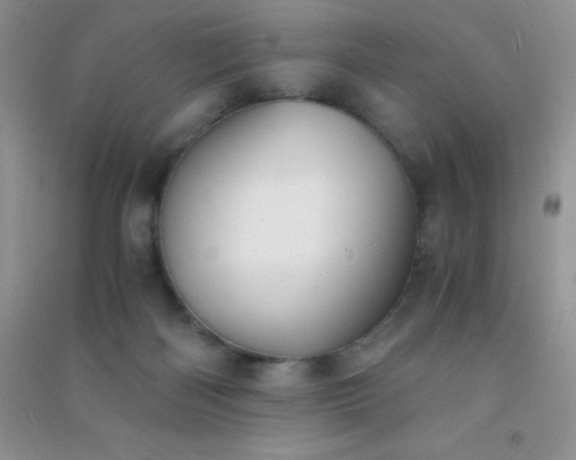 X0000091300122200708172216