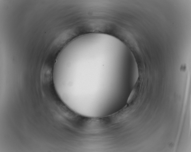 X0000091300123200708172216