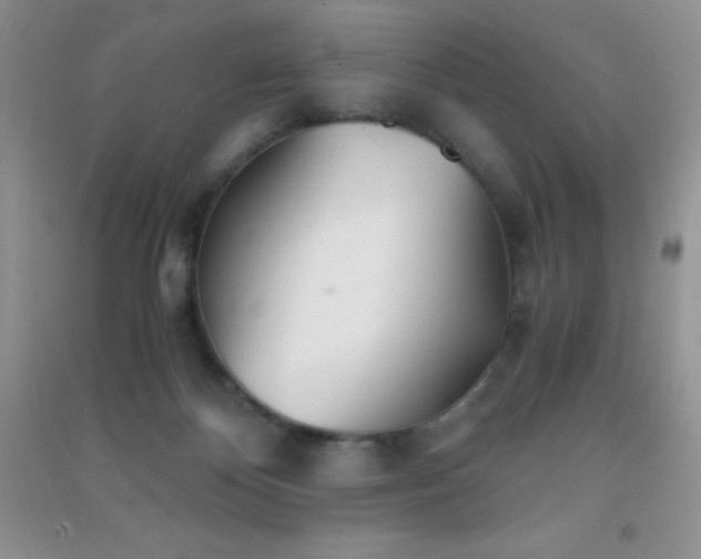 X0000091300124200708172216