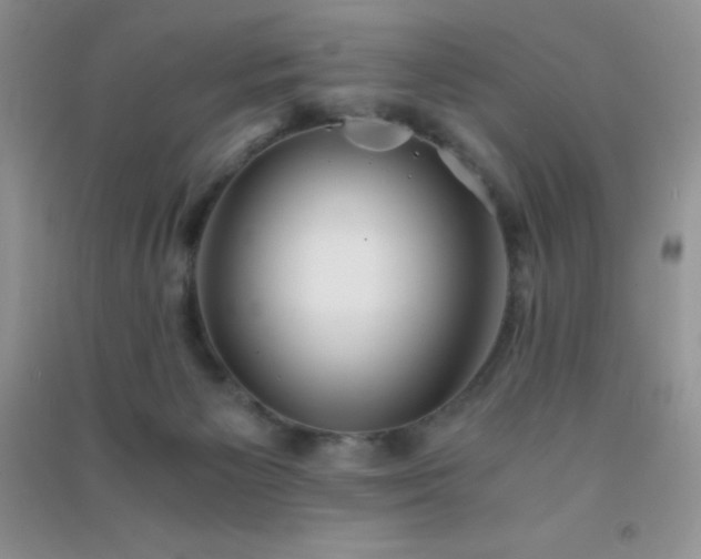 X0000091300125200708172216