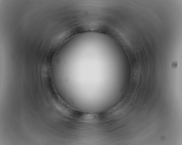 X0000091300126200708172216