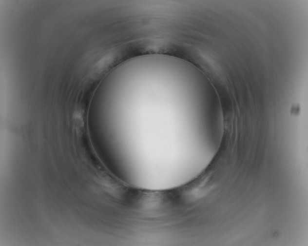 X0000091300127200708172216