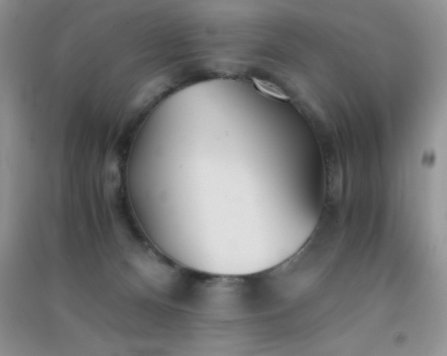 X0000091300128200708172216