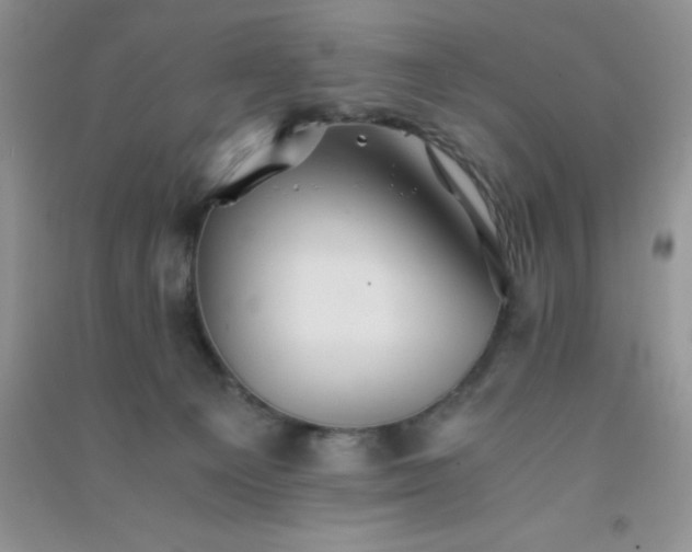 X0000091300129200708172216