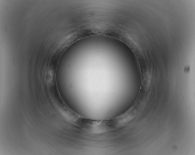 X0000091300130200708172216