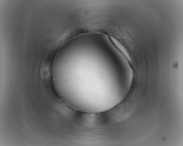 X0000091300131200708172216