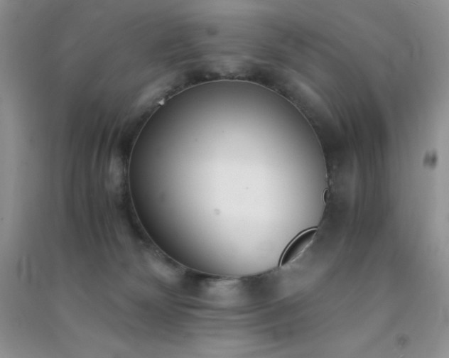 X0000091300132200708172216