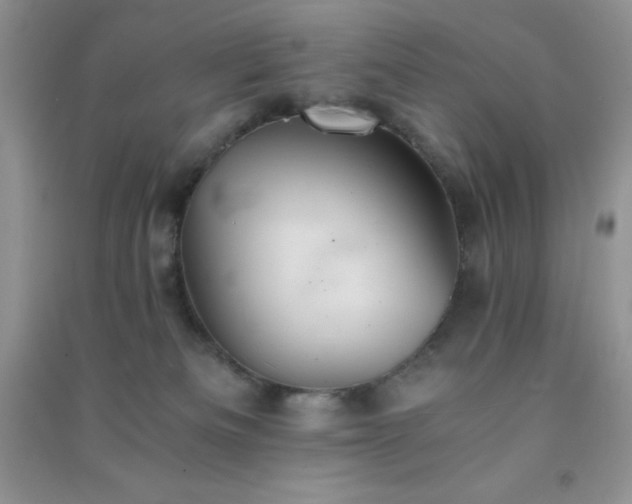 X0000091300133200708172216