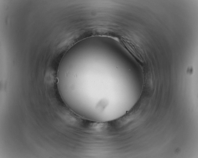 X0000091300135200708172216