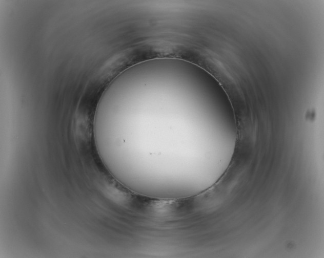 X0000091300136200708172216