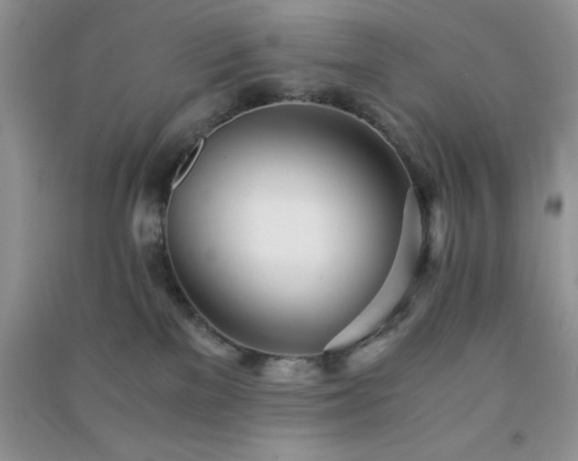 X0000091300137200708172216