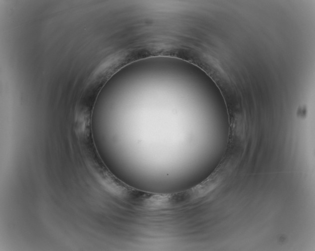 X0000091300138200708172216