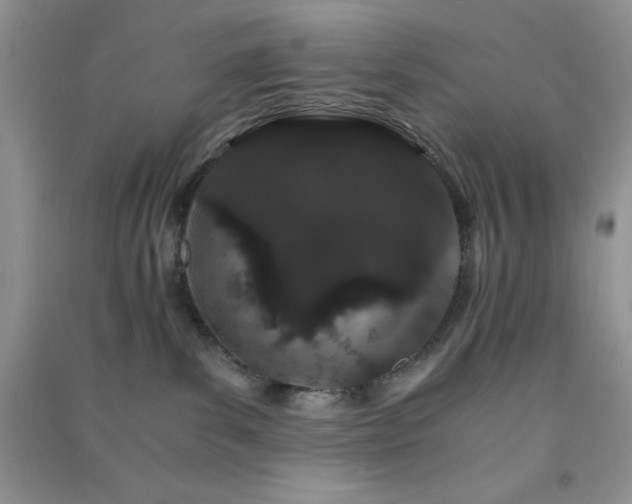 X0000091300139200708172216