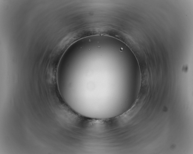 X0000091300140200708172216