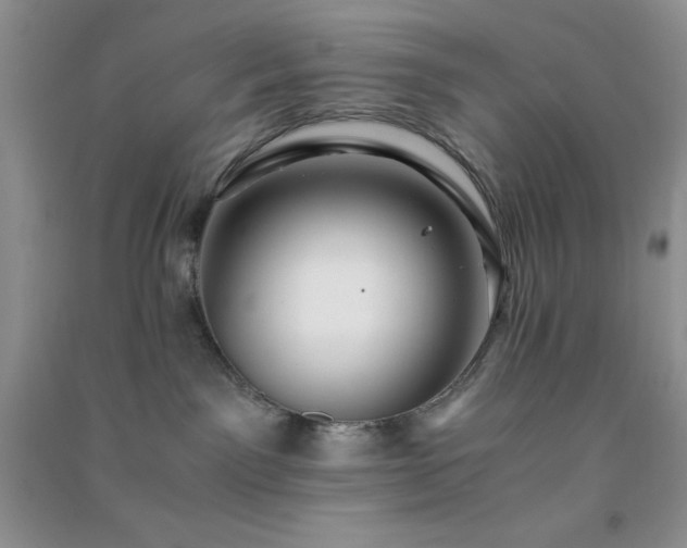 X0000091300141200708172216