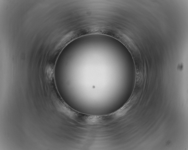 X0000091300142200708172216