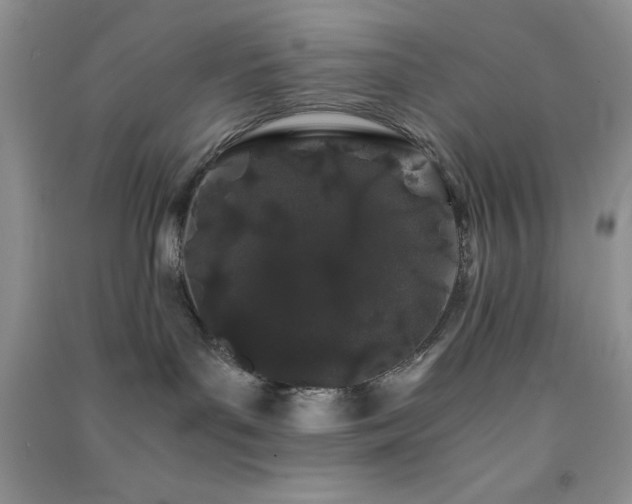 X0000091300143200708172216