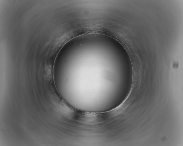 X0000091300144200708172216