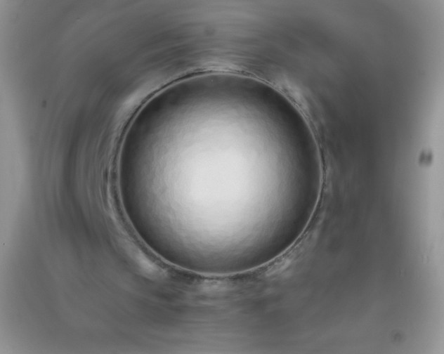 X0000091300145200708172215