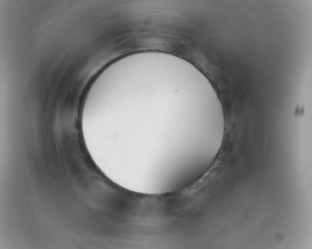 X0000091300146200708172215