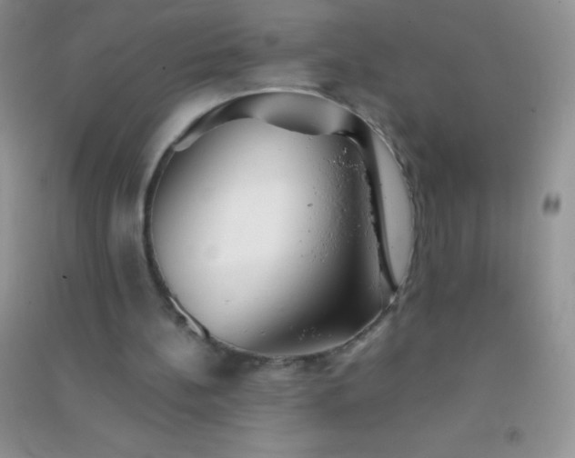 X0000091300148200708172215