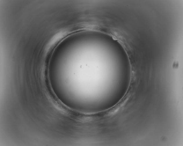 X0000091300149200708172215