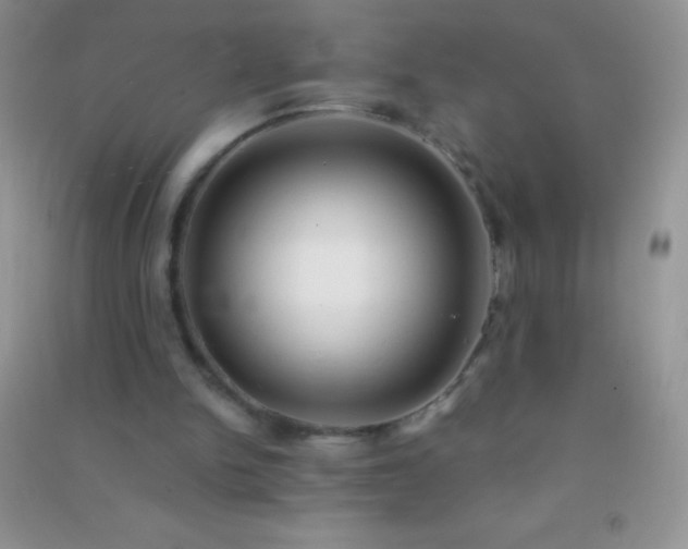 X0000091300150200708172215