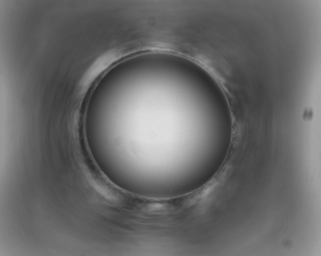 X0000091300151200708172215