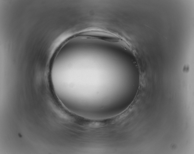 X0000091300152200708172215