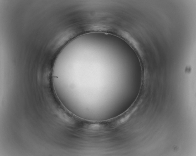 X0000091300153200708172215