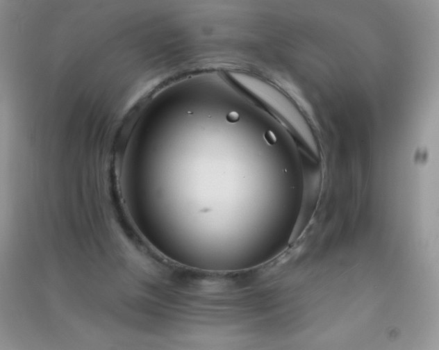 X0000091300154200708172215