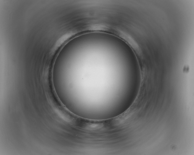 X0000091300155200708172215