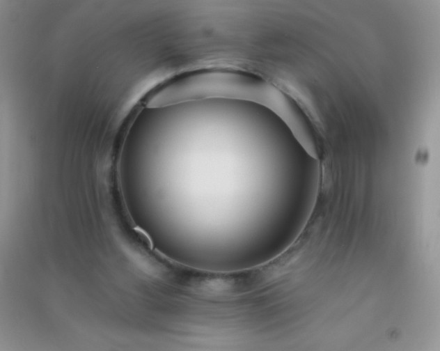 X0000091300156200708172215