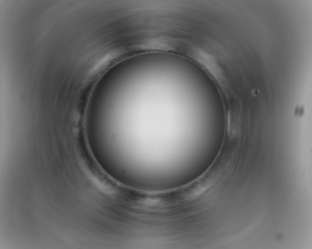 X0000091300157200708172215