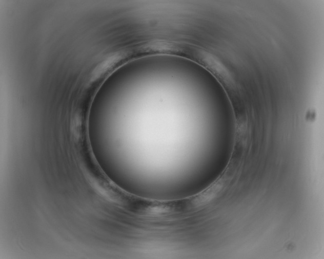 X0000091300158200708172215