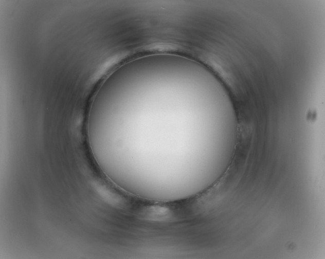 X0000091300159200708172215