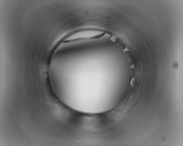 X0000091300160200708172215