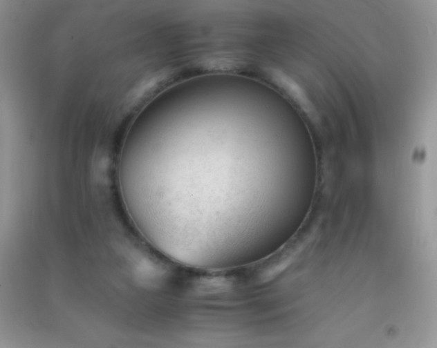 X0000091300161200708172215