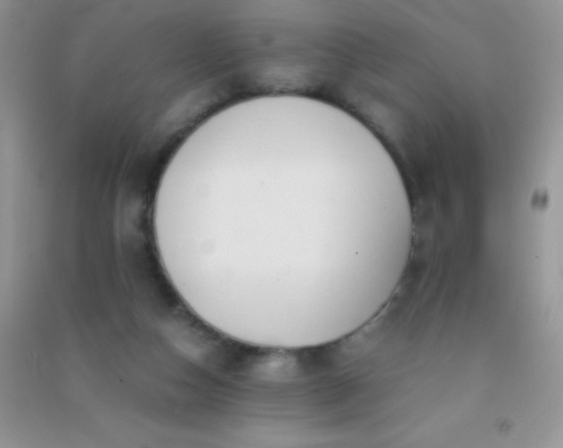 X0000091300162200708172215