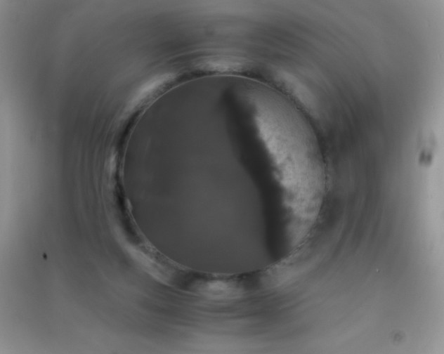 X0000091300163200708172215