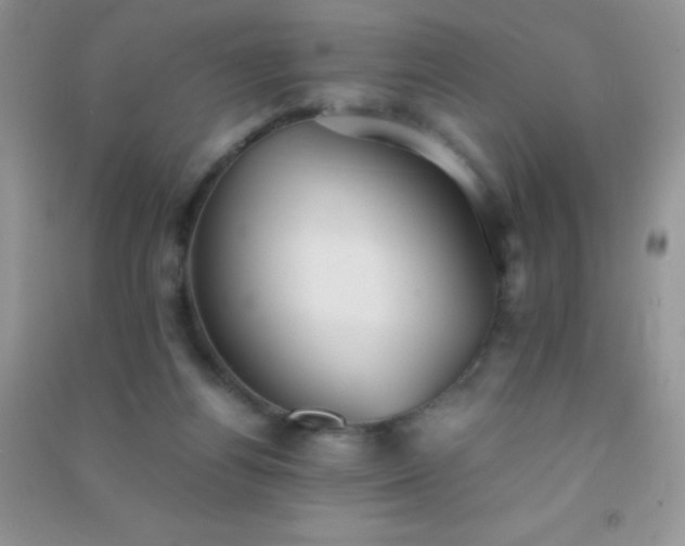 X0000091300164200708172215