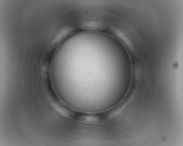 X0000091300165200708172215