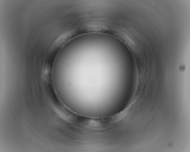 X0000091300166200708172215