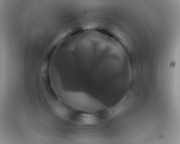 X0000091300167200708172215